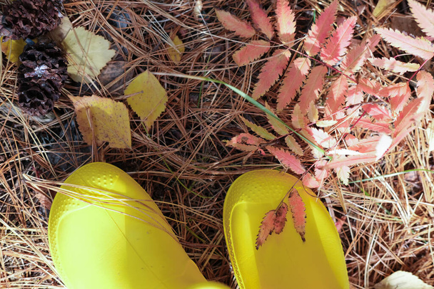Kırpılmış sarı çizmeli kız bacakları.. - Fotoğraf, Görsel