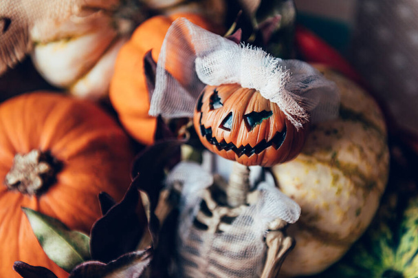 Pumpkins and skeleton pumpkin bride - Photo, Image
