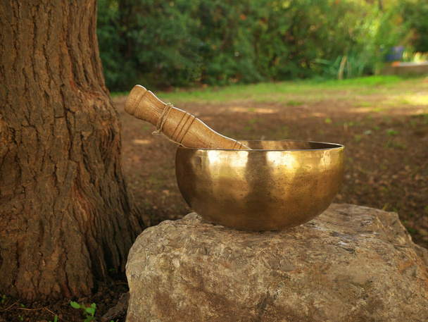 Поющая чаша, установленная на скале рядом с стволом дерева - Фото, изображение