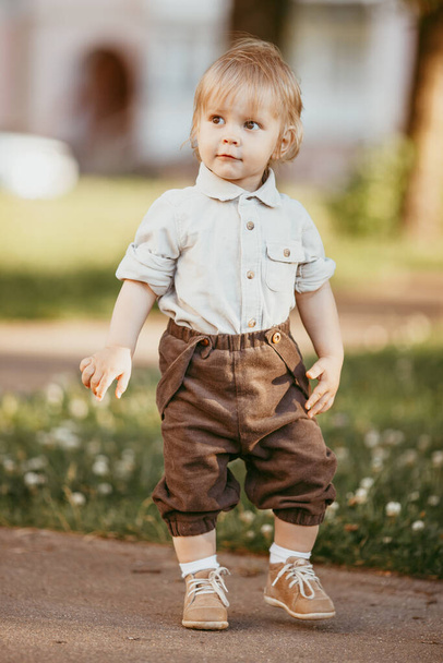 A small blond boy dressed in a vintage jumpsuit in a field at sunset, on a summer day. - Photo, Image