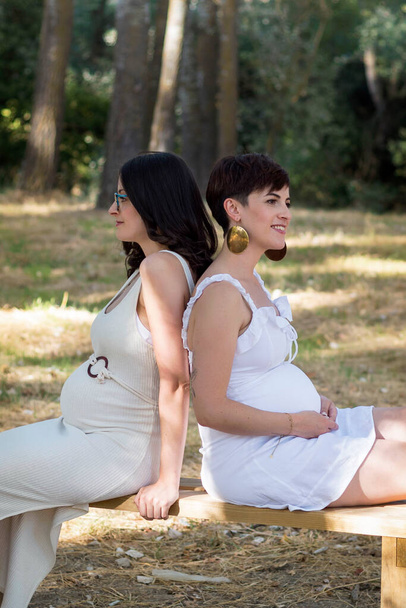 Duas mulheres grávidas juntas no terreno. Maternidade. - Foto, Imagem