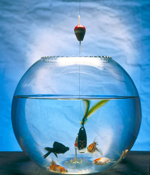 Fishing in fishbowl on a blue background - Photo, Image
