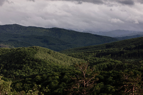 вид з повітря на ліс. панорама гірського лісу
 - Фото, зображення