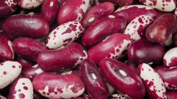 Red beans close up. Macro. 4K video. Organic legumes. - Footage, Video
