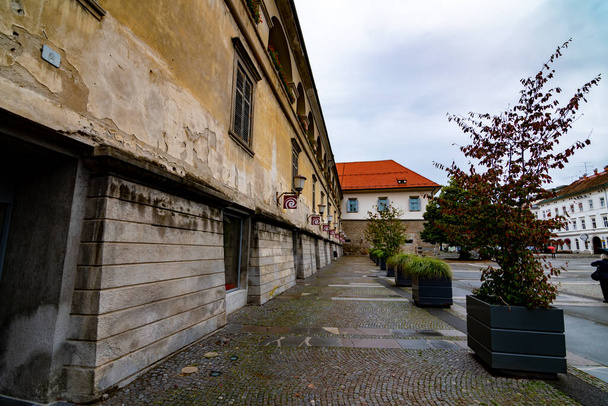 Slovenya 'nın Maribor kentindeki eski hasarlı şehir müzesi duvarı - Fotoğraf, Görsel