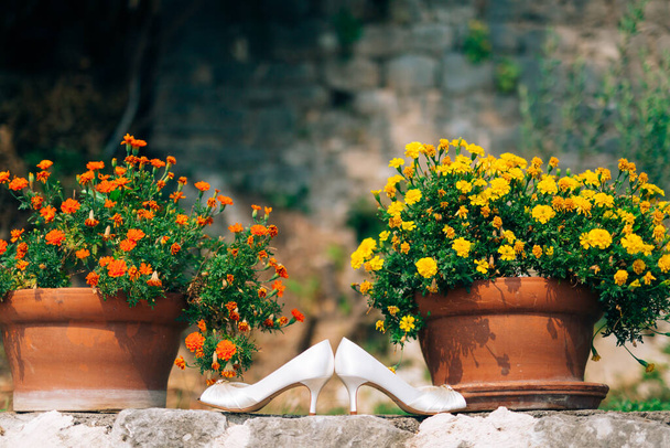 Womens white shoes with heels between brown flower pots with blooming street flowers. - Photo, Image