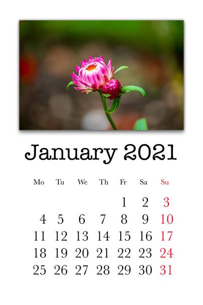 Kalenderkaart voor de maand januari 2021 - Foto, afbeelding