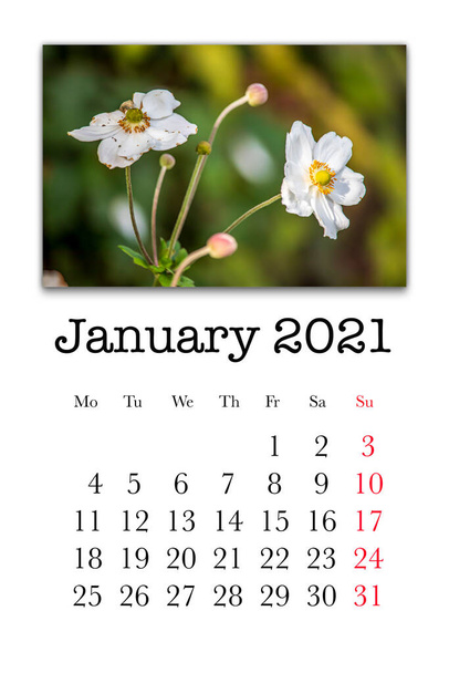 Κάρτα ημερολογίου για τον μήνα Ιανουάριο 2021 - Φωτογραφία, εικόνα