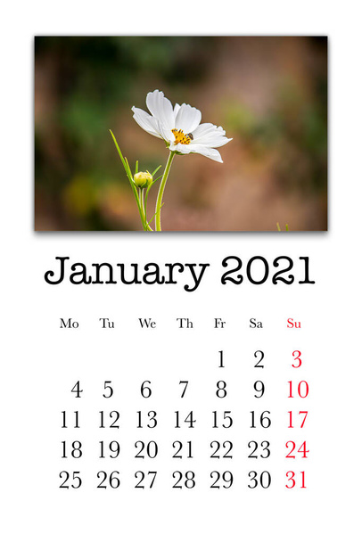Tarjeta de calendario para el mes de enero de 2021 - Foto, Imagen