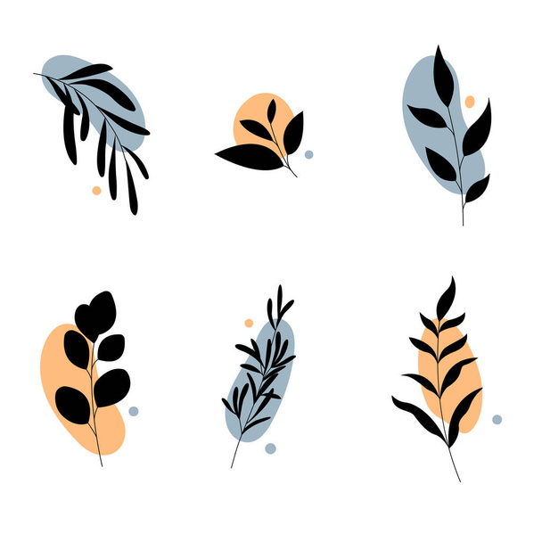 Set of abstract plants.Hand drawn silhouettes. - Vector, Image