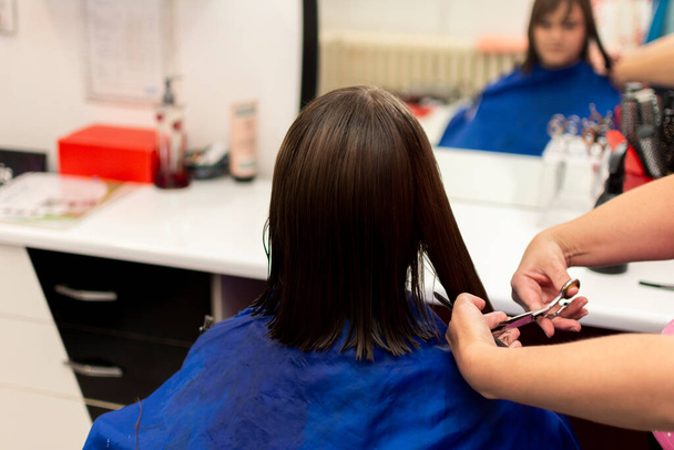 Professional female hairdresser cutting girl's brown hair in salon, closeup - Photo, Image