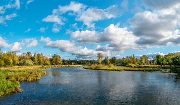 Beau paysage d'automne panoramique avec des arbres lumineux sur la rive du lac - Photo, image