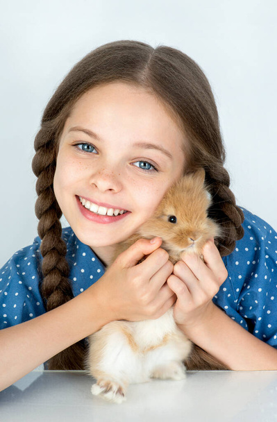 Happy little child girl with cute rabbit. Portrait of kid with pet. Light background. - Zdjęcie, obraz