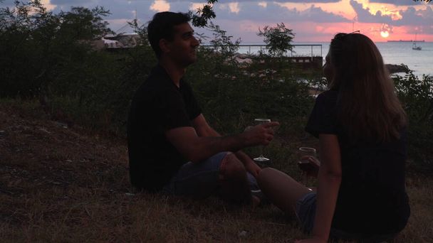 Gün batımında deniz kıyısında kırmızı şarap içen mutlu çift. Medya. Yeşil çimenlerin ve çalıların yanında oturan kadın ve erkek sohbet ediyorlar.. - Fotoğraf, Görsel