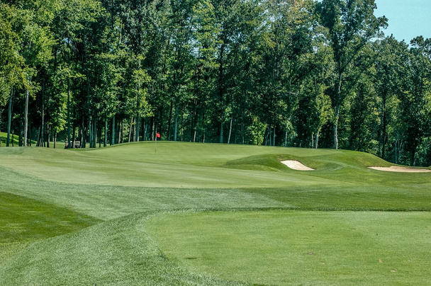 Деревянное поле для гольфа  - Фото, изображение