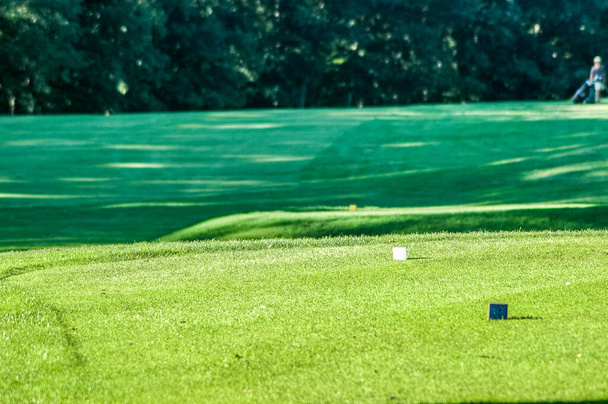 Caja de tee azul en corse de golf - Foto, Imagen