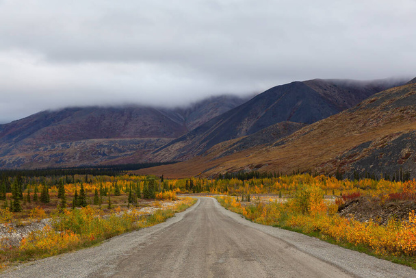 Canadian Nature Landscape in Yukon - Fotó, kép