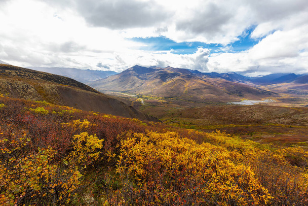 Canadian Nature Landscape in Yukon - Fotografie, Obrázek