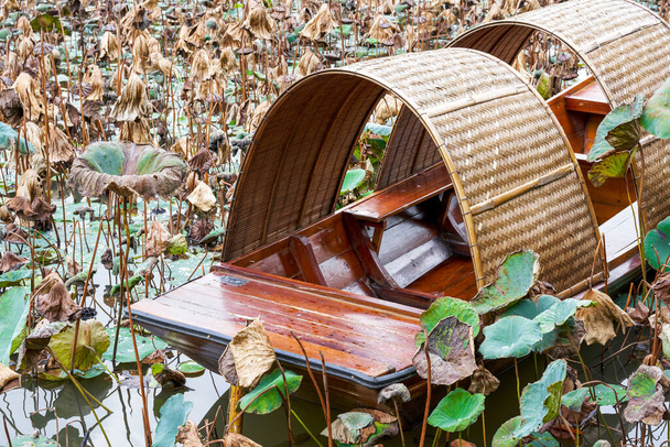 Un petit bateau en bois dans un hangar en bambou dans la feuille de lotus de l'étang - Photo, image