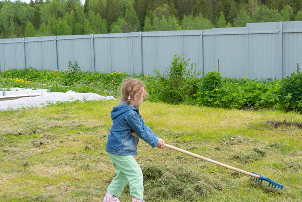 Ребенок помогает убрать скошенную траву с поля. - Фото, изображение
