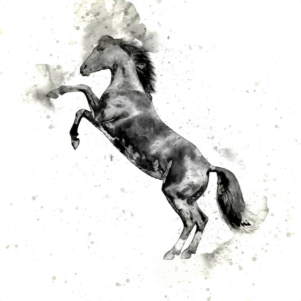 Színes ló művészet illusztráció grunge festmény - Fotó, kép