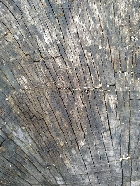 Braune Holzstruktur Hintergrund. Holzstruktur mit natürlichem Muster. alte Holz Textur Hintergrund. - Foto, Bild