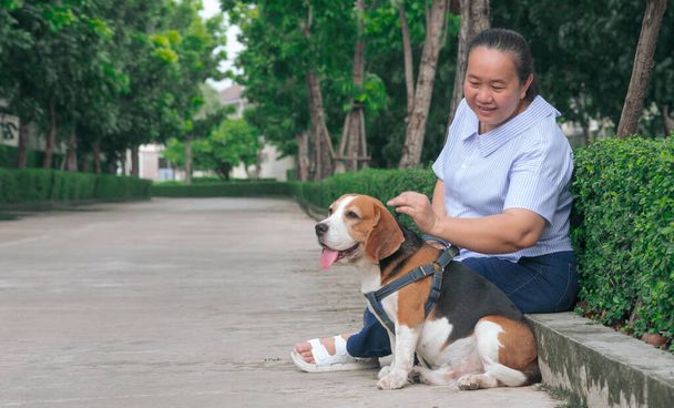 Starší asijské nadváha žena jemně hladí svého bígla psa, zatímco odpočívá na chodníku ve veřejném parku - Fotografie, Obrázek