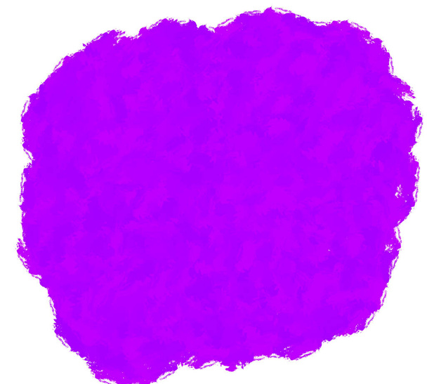 Фіолетовий гранжевий пензлик фарбує пляму ізольовано на білому тлі та текстурі. Абстрактне мистецтво. Сучасне мистецтво. Сучасне мистецтво
. - Фото, зображення