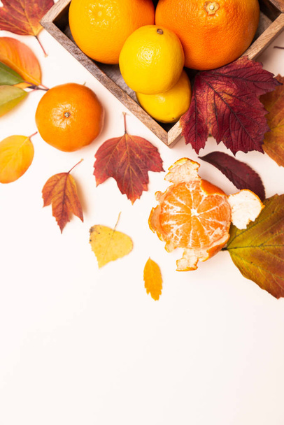 Composición de hojas de color otoñal y cítricos. Limones, mandarinas, pomelos en un plato de madera sobre un fondo claro. Bodegón con espacio para el texto - Foto, imagen