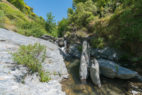 Кристаллическая река в окружении растительности, камни в русле реки, это горная местность с деревьями и кустами, небо чистое - Фото, изображение