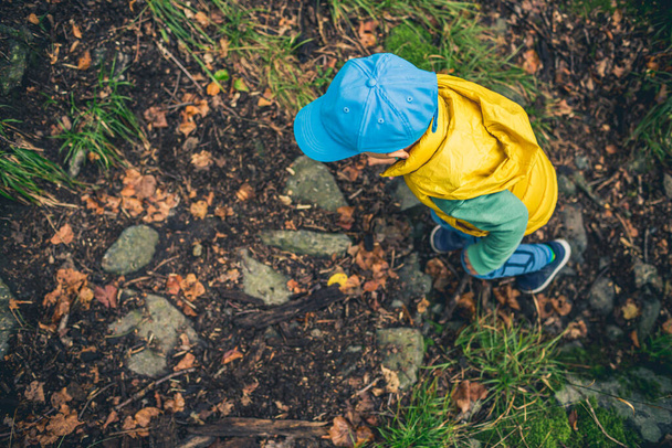 Little boy hiking in mountains, family adventure, top view. Little child walking in rocky green forest. - Fotografie, Obrázek