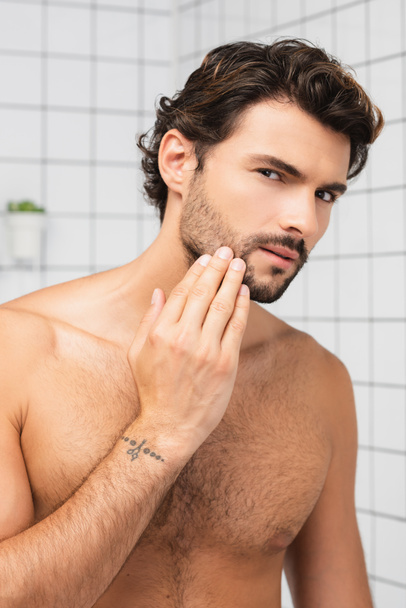 Bearded man touching chin while looking at camera in bathroom  - Foto, afbeelding