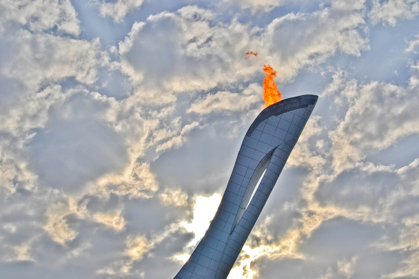 Llama olímpica
 - Foto, imagen