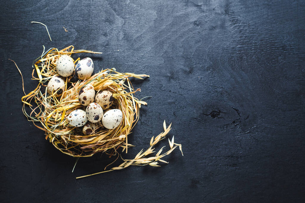 Little quail eggs in nest on black background. Copy space - Фото, изображение