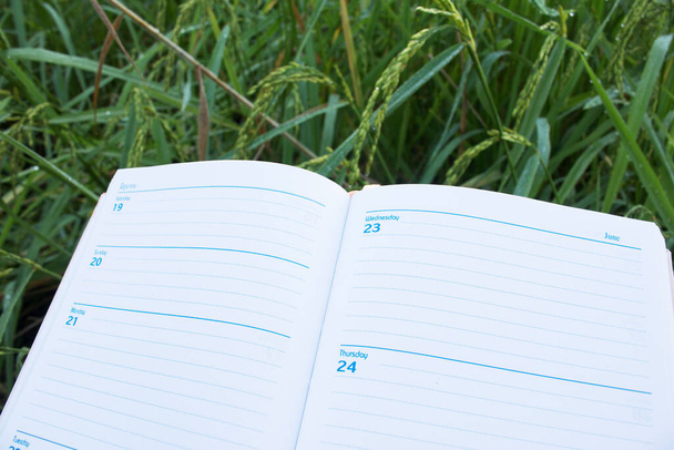 Hand met pen en klembord met blanco papier (document, verslag) om de rijstgroei te controleren. - Foto, afbeelding