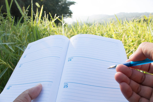 Main tenant un stylo et un presse-papiers avec papier blanc (document, rapport) pour vérifier la croissance du riz. - Photo, image