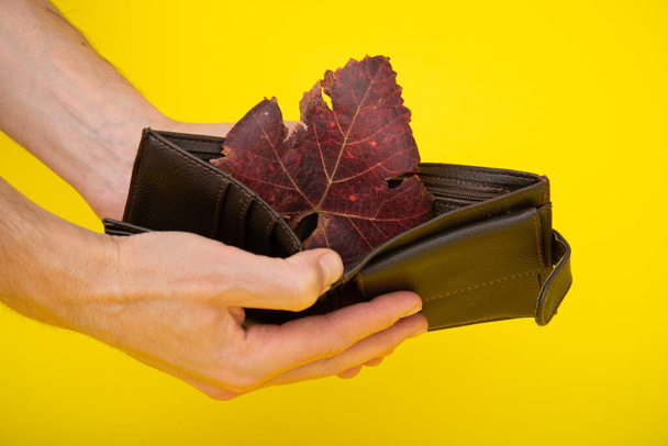 Une feuille de vigne d'automne dans un portefeuille en cuir vide sur fond jaune. - Photo, image