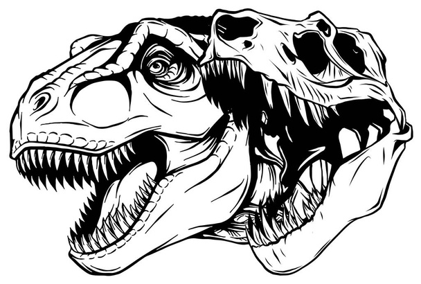 Tyrannosaurus rex cranio fossile disegno illustrazione vettoriale - Vettoriali, immagini
