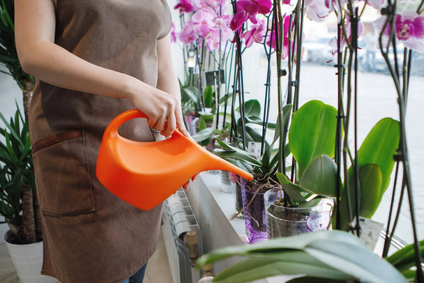 Mujer florista rubia riega, cuida las plantas en el espacio de trabajo de una floristería. Enfoque selectivo. - Foto, imagen