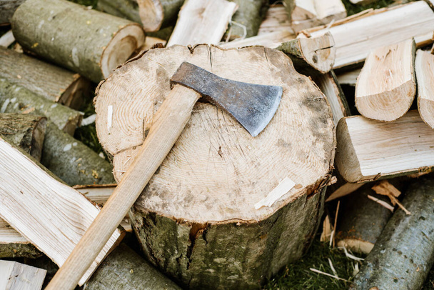 An axe on a log next to a chopped firewood - Photo, Image