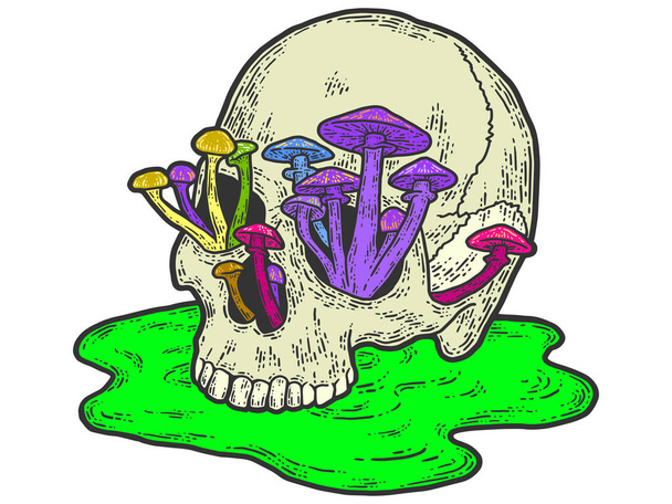 Cráneo humano con hongos en crecimiento. Boceto imitación tablero de rasca. - Vector, imagen