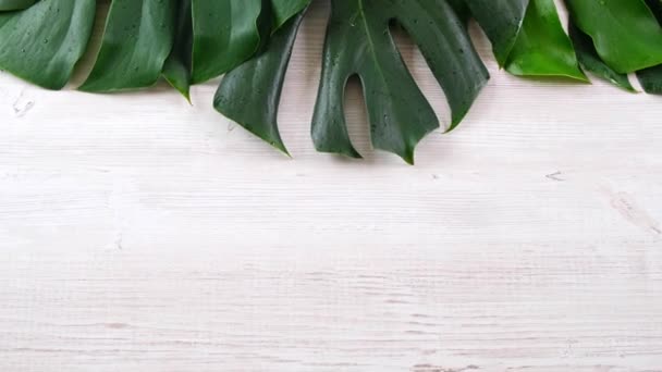 foglie di monstera verde tropicale estate su sfondo bianco in legno, rallentatore - Filmati, video