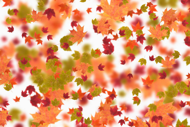 Herbst Bunte Blätter. Die Natur tritt in den Hintergrund. Kreatives Layout. Saisonverlauf. 3D-Illustration. - Foto, Bild