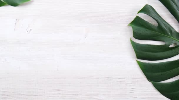 feuilles de monstère tropicale d'été tendance sur fond blanc en bois, espace de copie - Séquence, vidéo