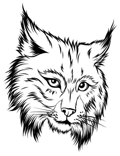 The illustration shows an angry bobcat face. The wild animal has sharp fangs and looks scary. - Vector, Image