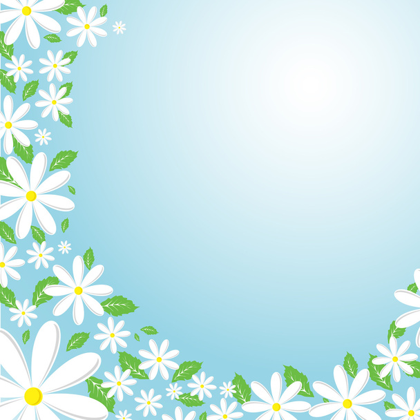 Daisy background - Vector, imagen