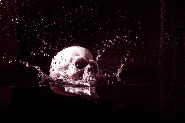 Human plastic skull falling in water isolated on black background. - Photo, Image