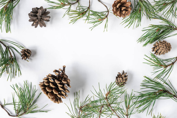 Pine branches and cones on a white background - Photo, image