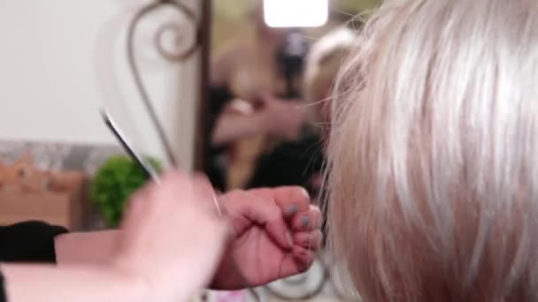 スタイリストは短い灰色の髪のためのヘアスタイルを行います。ビデオ - 映像、動画