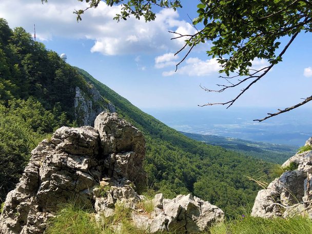 Prachtige panorama 's van bossen en weiden van de uitkijk in het Ucka Natuurpark, Kroatië / Cudesne panorame na sume i pasnjake sa vidikovaca u parku prirode Ucka, Hrvatska - Foto, afbeelding